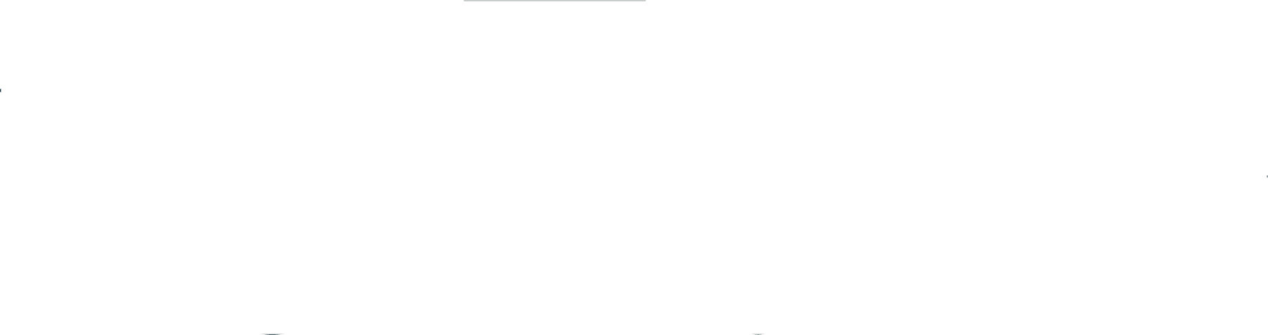 Toyam Wellness Retreat in India Logo