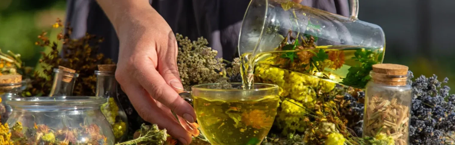 Adventure & Ayurveda: Combining Exploration with Holistic Healing